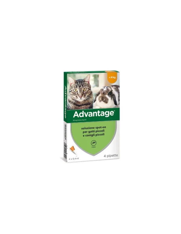 advantage 40 conigli/gatti sotto i 4kg 4 fiale