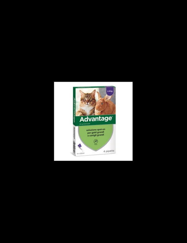 advantage 80 gatti grandi/conigli grandi 4 fiale