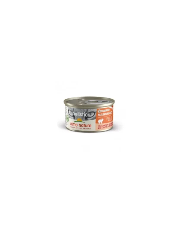almo cat holistic lattina 85gr adult con gamberetti 120