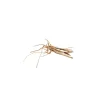 AQPET ZEN SLIM LEGNO NATURALE MEDIUM 25-40CM 1000