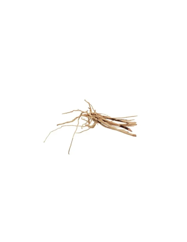 AQPET ZEN SLIM LEGNO NATURALE MEDIUM 25-40CM 1000