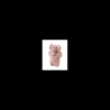 aromadog peluche maxi elefante aromatizzato rosa