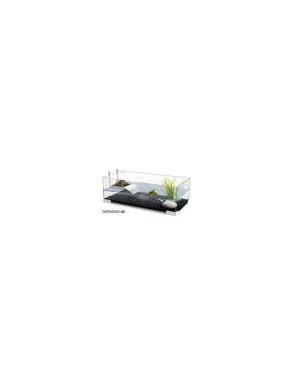 askoll tartarughiera tartarium 60