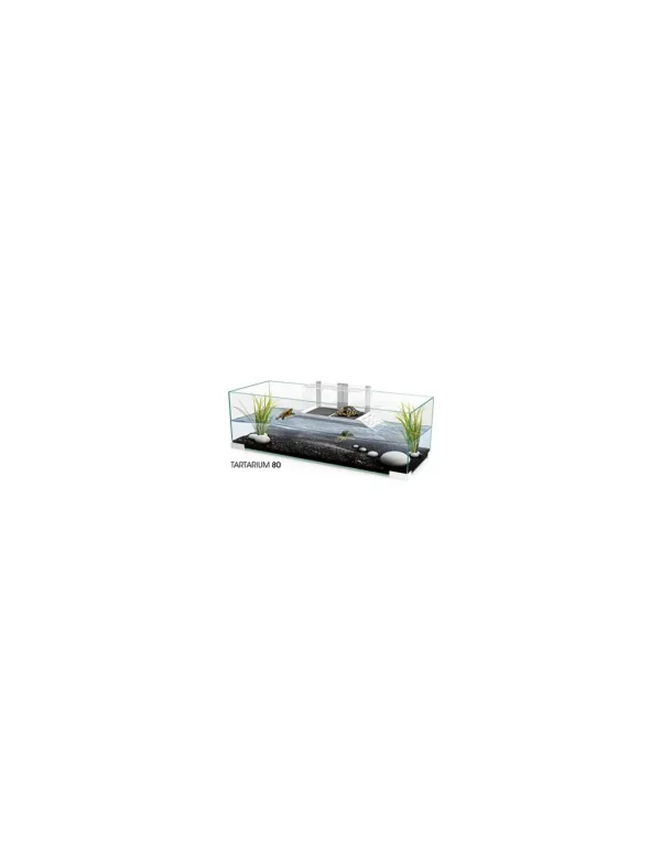 askoll tartarughiera tartarium 80