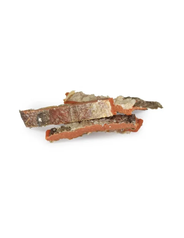 camon snack large strips salmone 80g