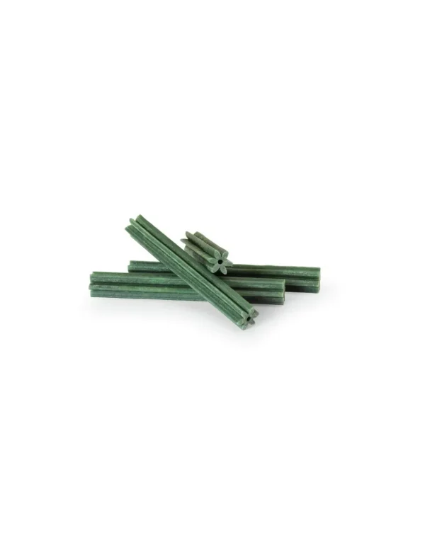 camon snack stick vegetale 120g