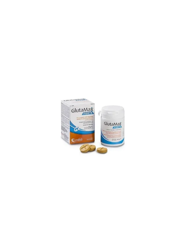 CANDIOLI GLUTAMAX ADVANCED CANI COMPRESSE 60GR (BARATTOLO DA 30CPR DA 2GR) PA6266 (EX GLUTAMAX FORTE)