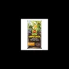 compo cactea terriccio 5 lt