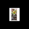 compo terriccio bio piante mediterranee 20 lt