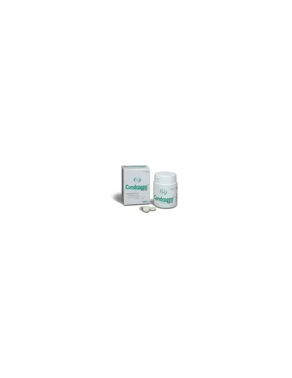 condrogen energy (ex mtl) 60 compresse