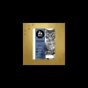 dieci cat 300gr superpremium adult salmone e pollo con riso