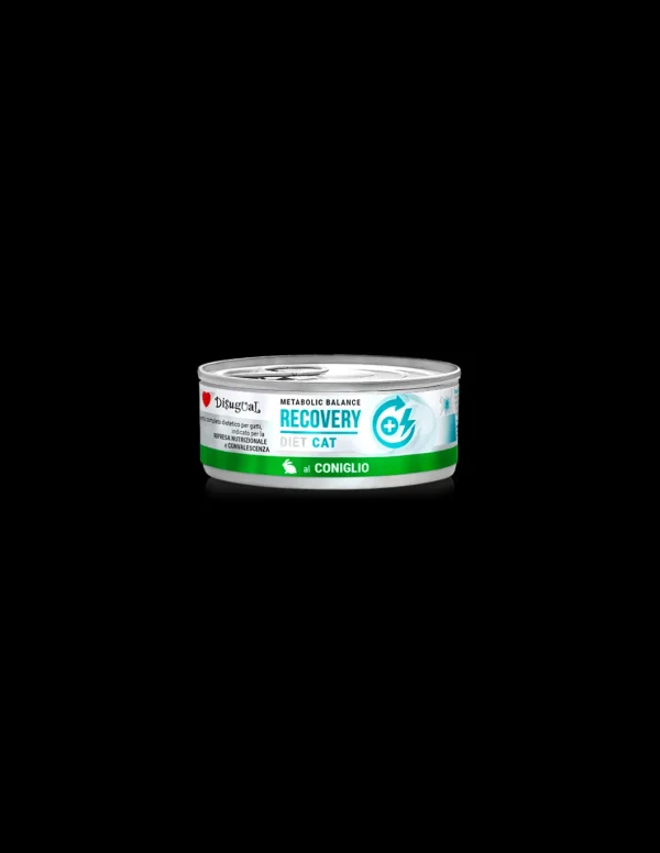 DISUGUAL DIET CAT LATTINA RECOVERY AL CONIGLIO 85GR DSDTG021