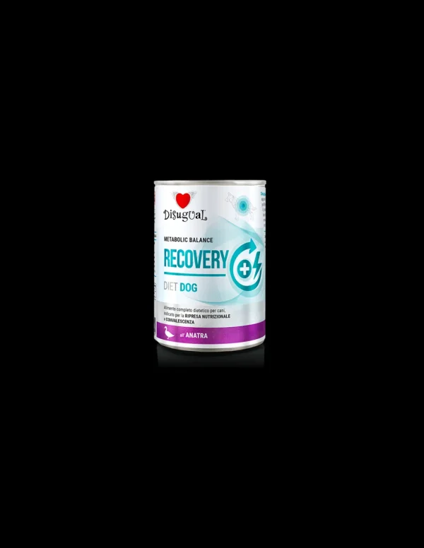 DISUGUAL DIET DOG LATTINA RECOVERY ALL'ANATRA 400GR DSDT021