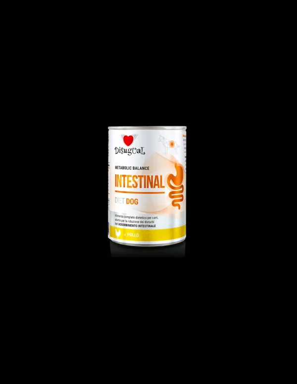 DISUGUAL DIET DOG LATTINA INTESTINAL AL POLLO 400GR DSDT031