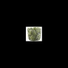 elim tarvisium vaso cilindro prickly 17cm fj127b