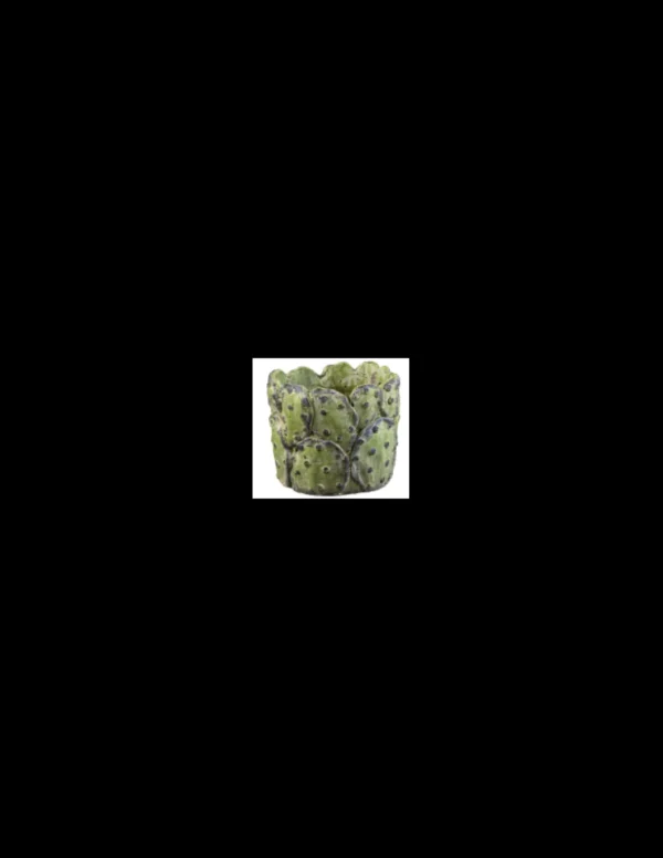 elim tarvisium vaso cilindro prickly 17cm fj127b