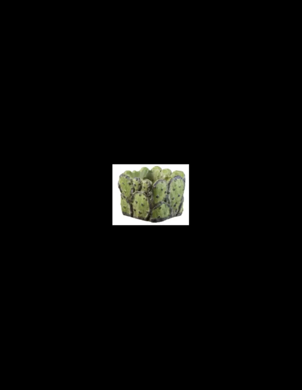 elim tarvisium vaso cubo prickly 6cm fj1321