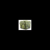 elim tarvisium vaso cubo prickly 14cm fj132b