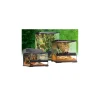 exo terra glass terrarium 45x45x45cm