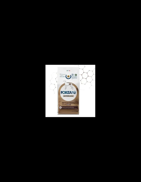 Forza 10 DOG ACTIVE 10KG INTESTINAL COLON FASE I 0912010 OFF ZG