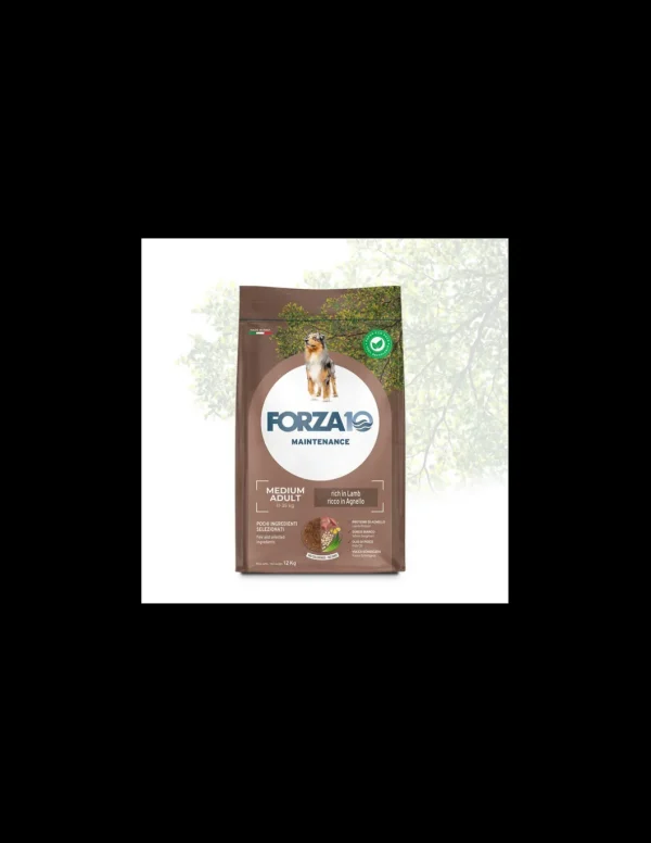 Forza 10 DOG 12KG MAINTENANCE ADULT MEDIUM AGNELLO RISO 01120012