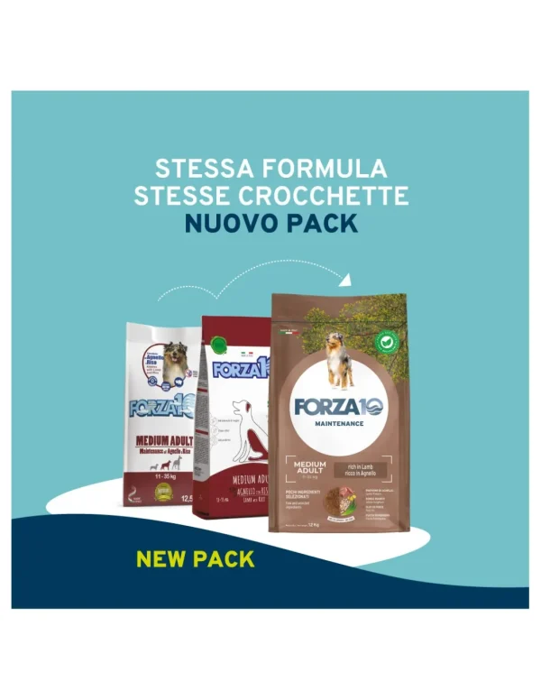 Forza 10 DOG 12KG MAINTENANCE ADULT MEDIUM AGNELLO RISO 01120012
