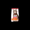 hills cat 300gr ad agnello 604065