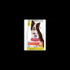 hills dog 2,5kg ad medium perfect digestion con pollo e riso integrale e con active biome 605967