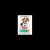 hills dog 2kg ad medium perfect weight 604296