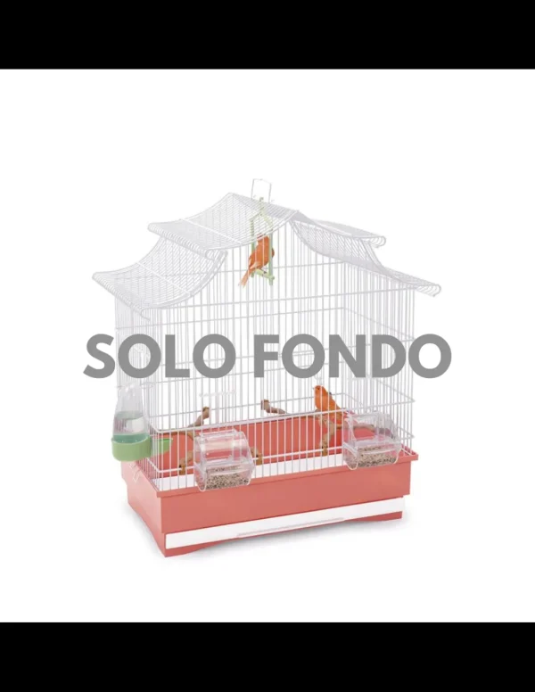 imac fondo per gabbia irene 2/pagoda export/pagoda/serena rosa