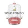 imac fondo per gabbia milly rosa