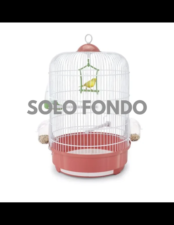 imac fondo per gabbia milly rosa
