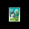 joki dog plus snack dent star bar alito fresco taglia media/grande 7 pezzi 210gr 87378284