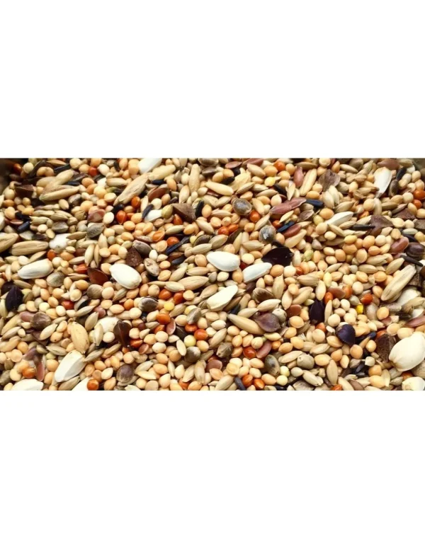 manitoba agapornis semi parrocchetti senza girasole 1kg 26051/1