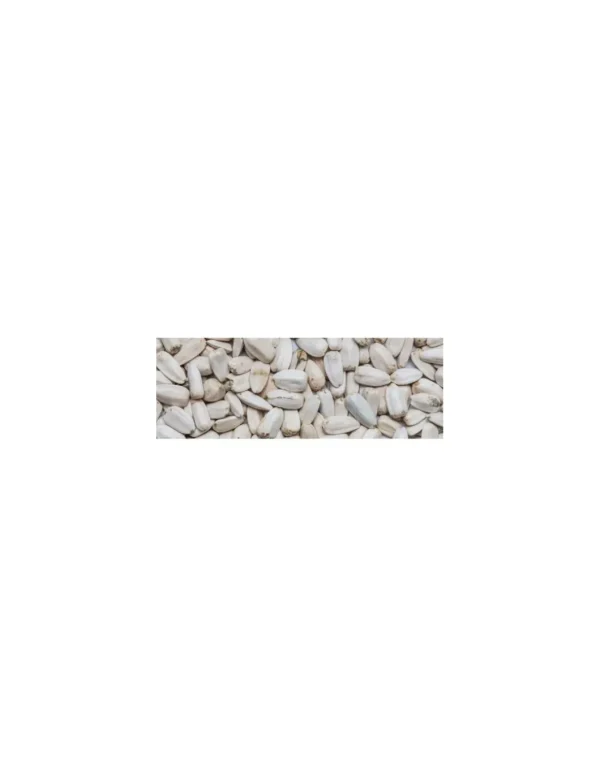 manitoba girasole bianco egitto 15kg 3066sa (ex 3067sa)