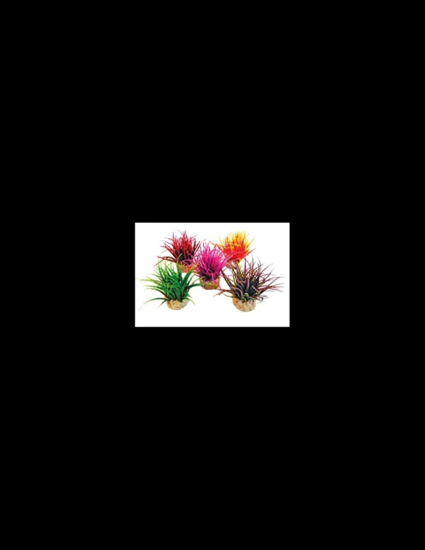 mant af226201 pianta sydeco nano moss 8cm