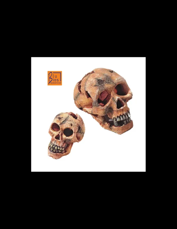mant af201715 deco teschio grande