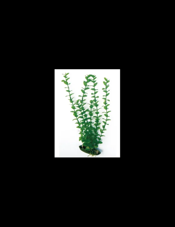 mant af224980 pianta dekor bushy cm. 20x15