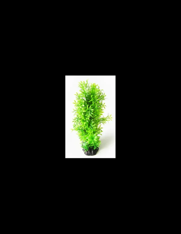 mant af224980 pianta dekor bushy cm. 20x15