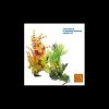 mant af224944 pianta dekor rio 20cm