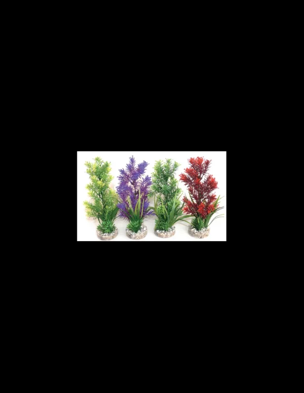 mant af226240 pianta sydeco color 25cm