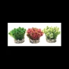 mant af226380 pianta sydeco grass bush 8cm