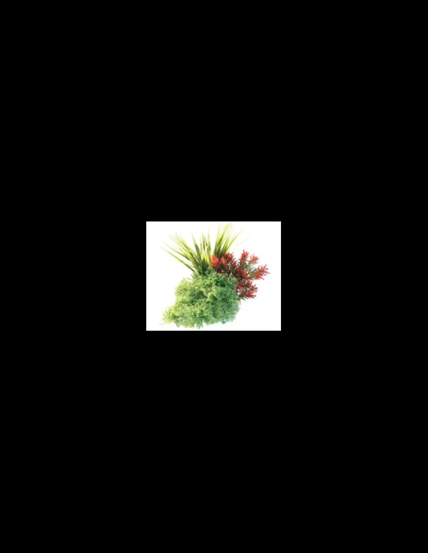 mant af226344 pianta sydeco tropical bouquet 20cm
