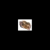 MANT AF133068 ROCCIA SKIN PACK DRAGON MIS. M