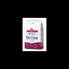 monge cat 400gr kitten manzo
