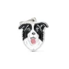 MY FAMILY MEDAGLIA BORDER COLLIE MF03N