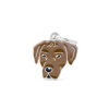 MY FAMILY MEDAGLIA RHODESIAN RIDGEBACK MF78