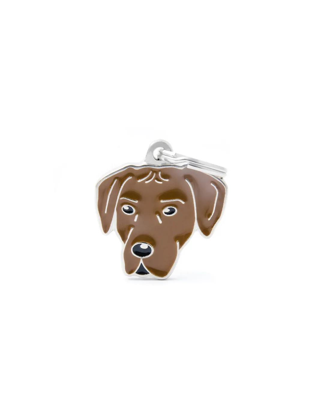 my_family_medaglia_rhodes_0.webp MY FAMILY MEDAGLIA RHODESIAN RIDGEBACK MF78