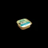 oasy wet cat 100gr adult delizioso pate' adult ricco di trota vaschetta