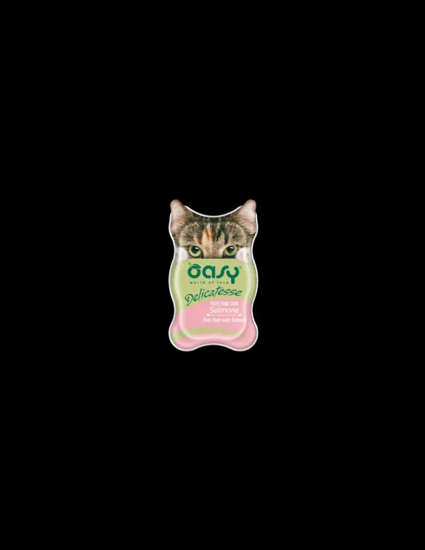 oasy wet cat 85gr vaschetta delicatesse pate' con salmone
